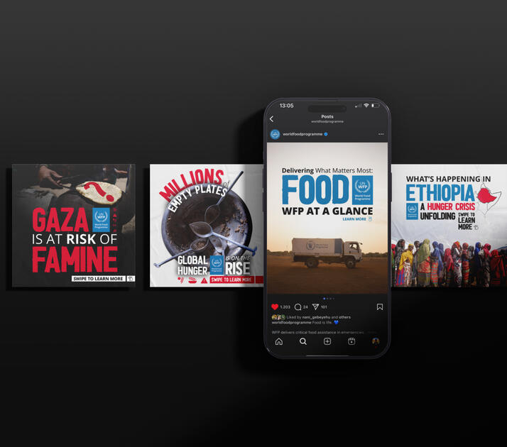 United Nations World Food Programme Carousel designs by Ewnetu Kefale