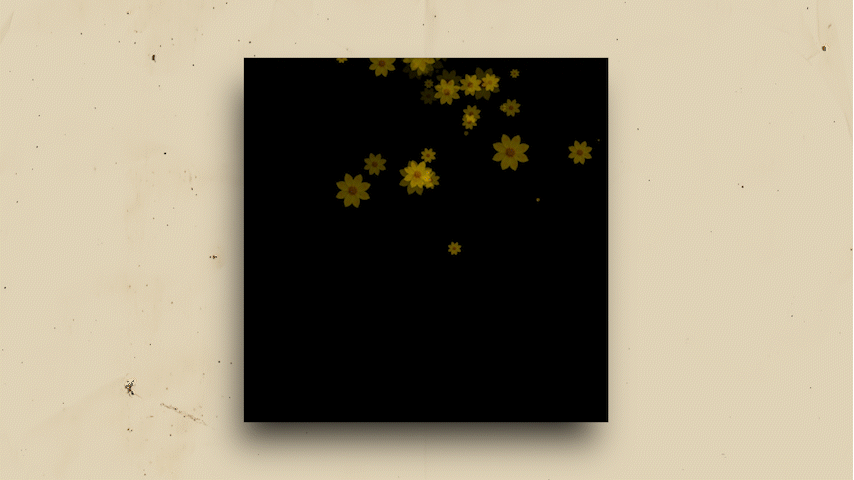 New year animation social media video